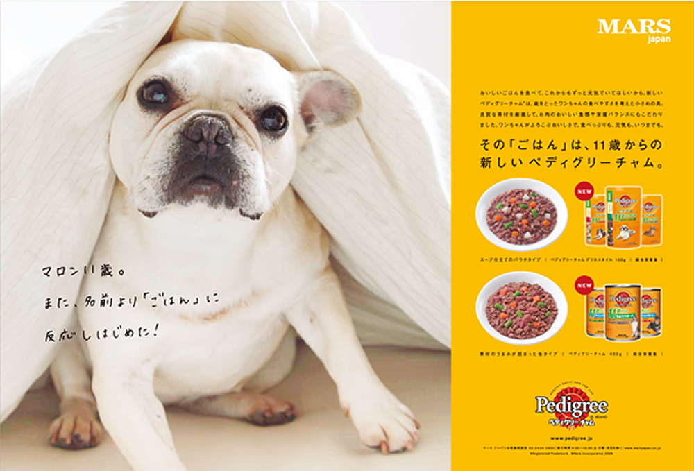 ペディグリーGR