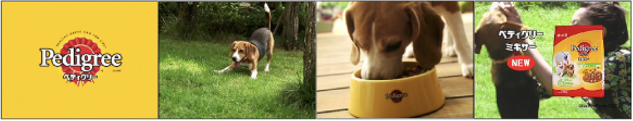 ペディグリーCM