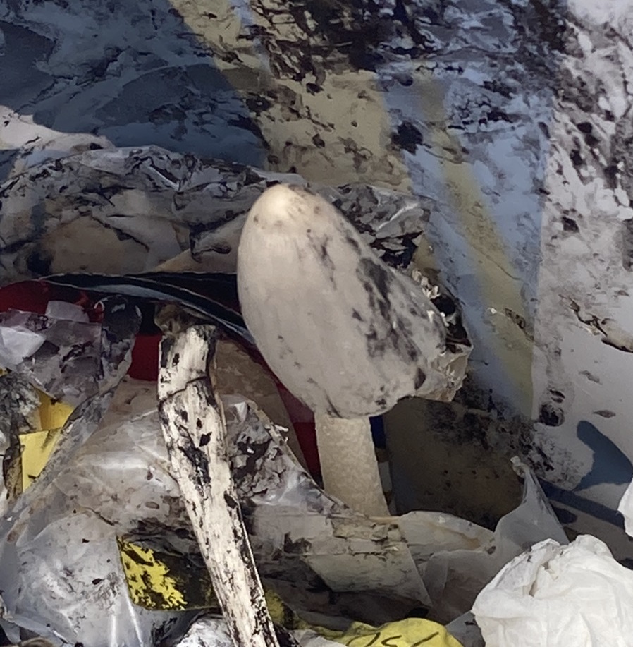 レジリエンスが必要なひとつの要素